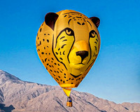 Balloon fest -9