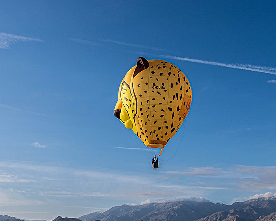 Balloon fest -10