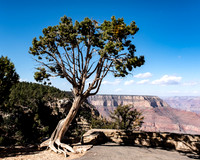 Grand Canyon-3-2