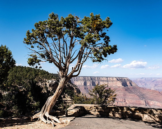 Grand Canyon-3-2
