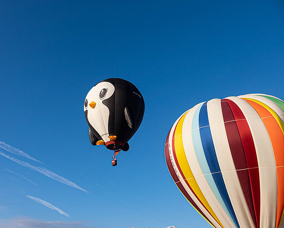 Balloon fest -11