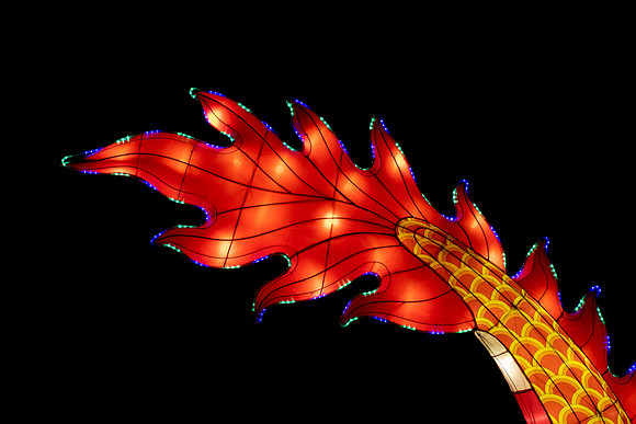 Glow in the Park-2478