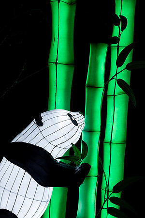 Glow in the Park-2422