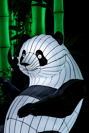 Glow in the Park-2426