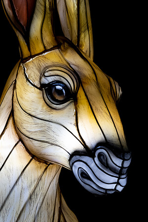 Glow in the Park-2677