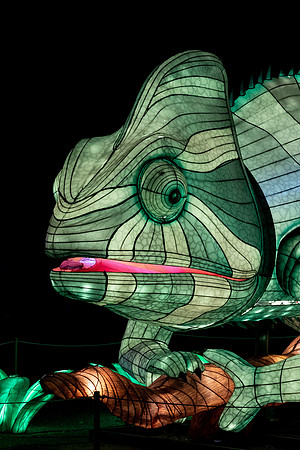 Glow in the Park-2649