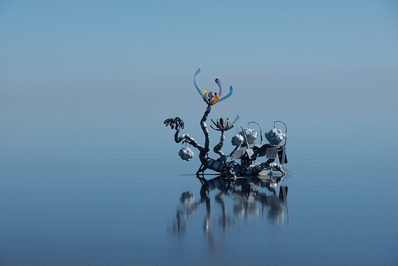 Salton Sea-1129