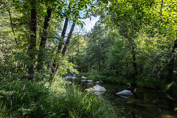 Oak Creek-4414