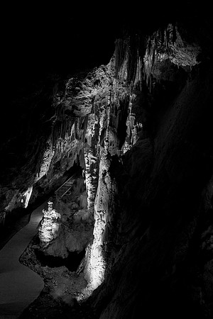 Mitchell Caverns-8799