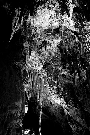 Mitchell Caverns-8785