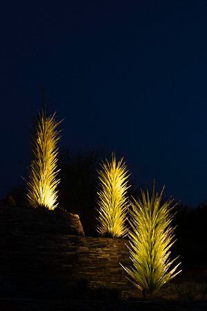 Botanical Garden Phoenix-9732