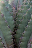 Garden Views-0050