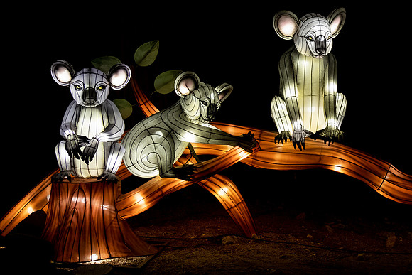 Glow in the Park-2496