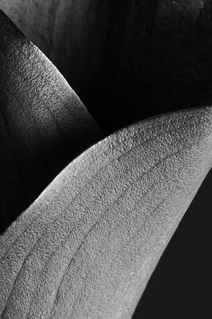 Calla Lily B&W Web-1207