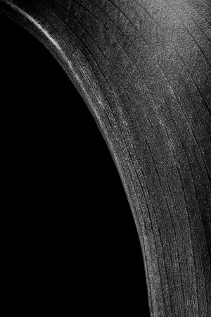 Calla Lily Black Web-9221