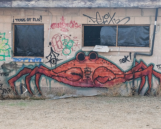 Bombay Beach -10